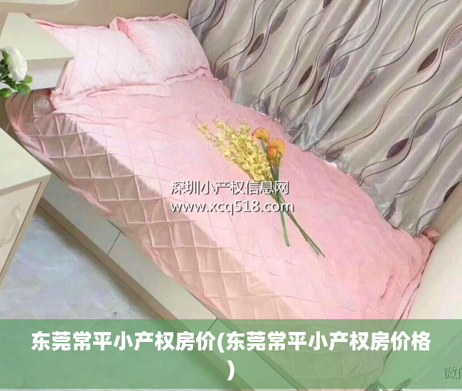 东莞常平小产权房价(东莞常平小产权房价格)