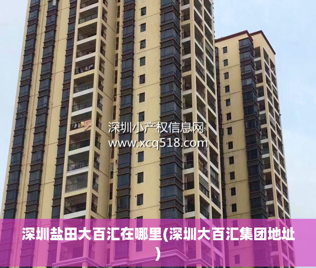 深圳盐田大百汇在哪里(深圳大百汇集团地址)