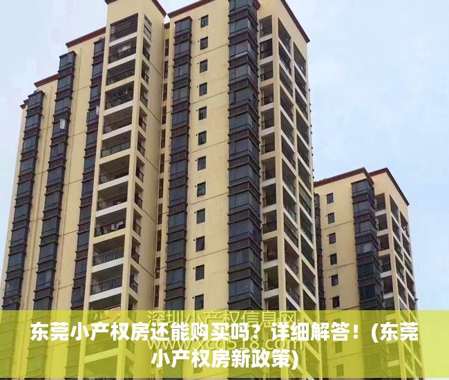 东莞小产权房还能购买吗？详细解答！(东莞小产权房新政策)