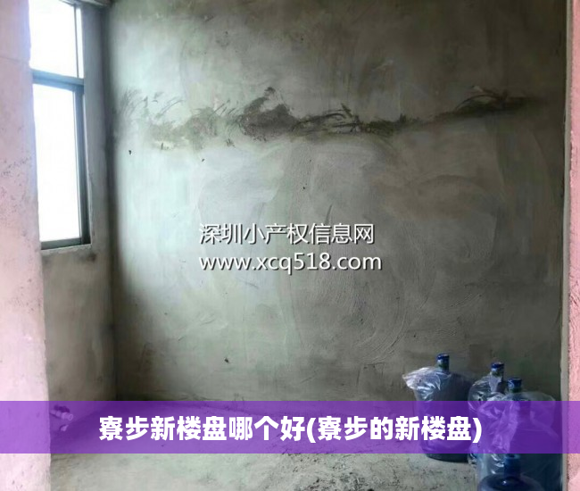 寮步新楼盘哪个好(寮步的新楼盘)