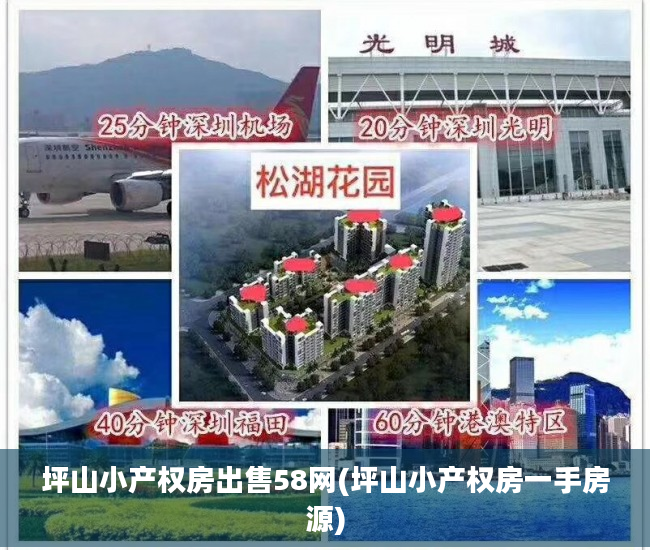 坪山小产权房出售58网(坪山小产权房一手房源)