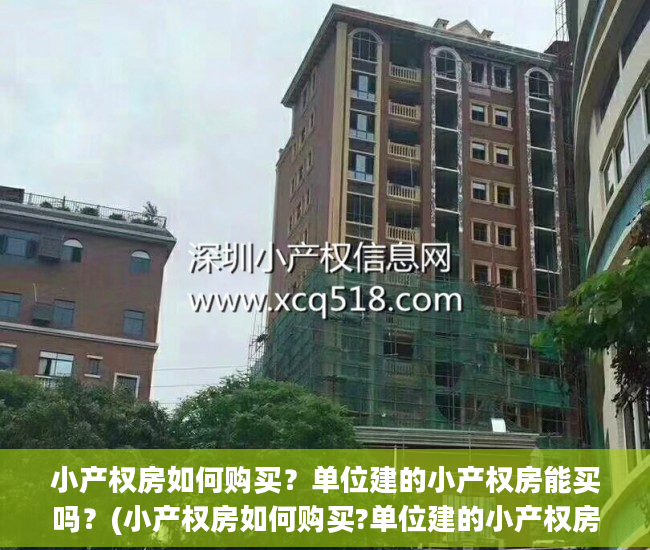 小产权房如何购买？单位建的小产权房能买吗？(小产权房如何购买?单位建的小产权房能买吗)