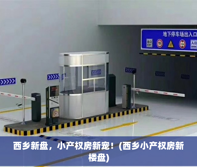 西乡新盘，小产权房新宠！(西乡小产权房新楼盘)