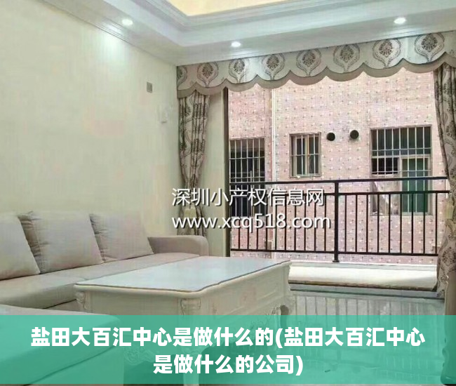 盐田大百汇中心是做什么的(盐田大百汇中心是做什么的公司)