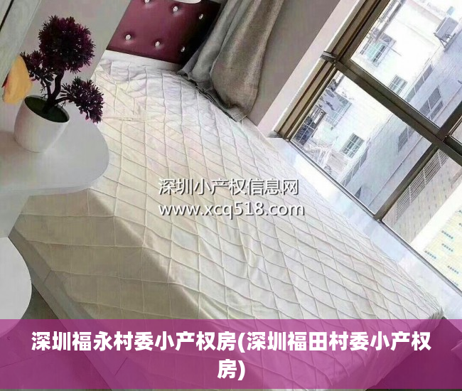 深圳福永村委小产权房(深圳福田村委小产权房)
