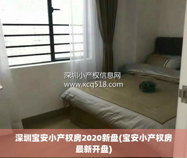 深圳宝安小产权房2020新盘(宝安小产权房最新开盘)
