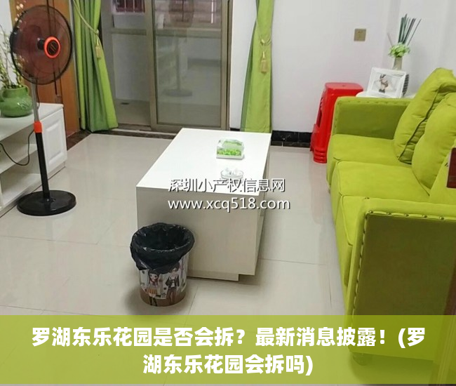 罗湖东乐花园是否会拆？最新消息披露！(罗湖东乐花园会拆吗)