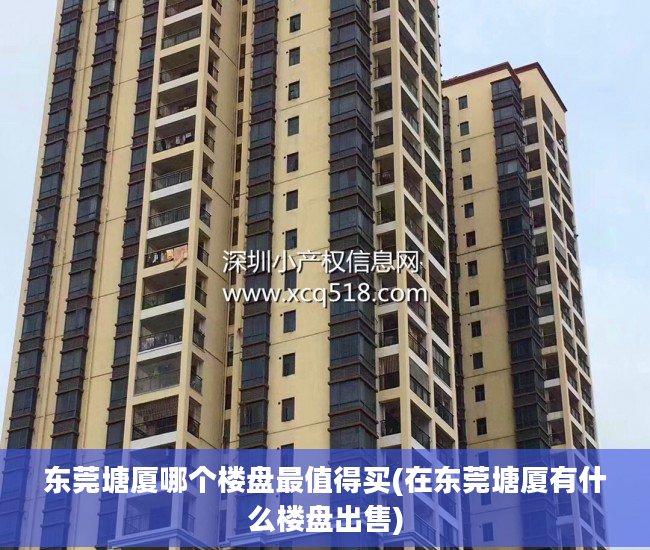 东莞塘厦哪个楼盘最值得买(在东莞塘厦有什么楼盘出售)