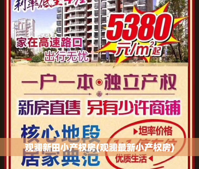 观澜新田小产权房(观澜最新小产权房)