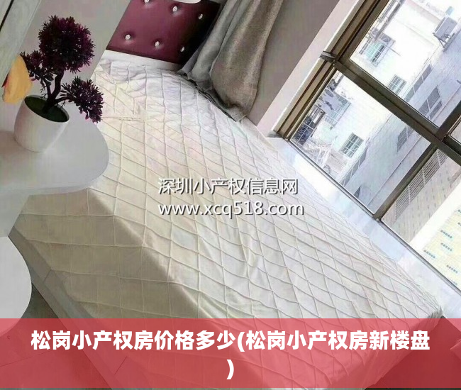 松岗小产权房价格多少(松岗小产权房新楼盘)