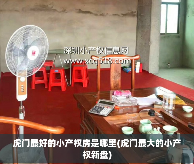 虎门最好的小产权房是哪里(虎门最大的小产权新盘)