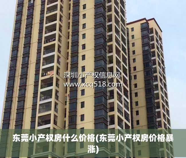 东莞小产权房什么价格(东莞小产权房价格暴涨)