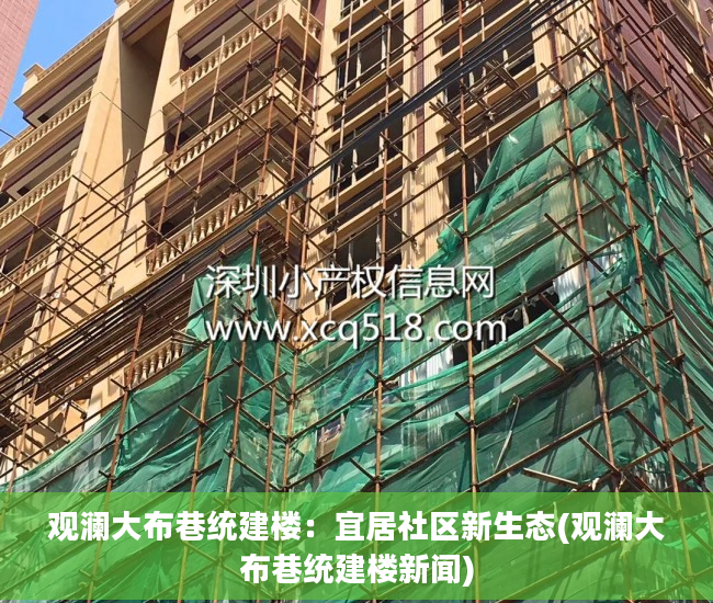 观澜大布巷统建楼：宜居社区新生态(观澜大布巷统建楼新闻)