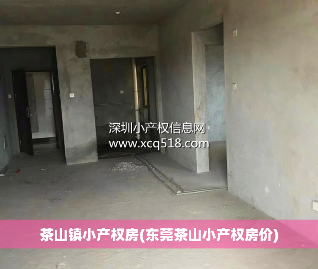 茶山镇小产权房(东莞茶山小产权房价)