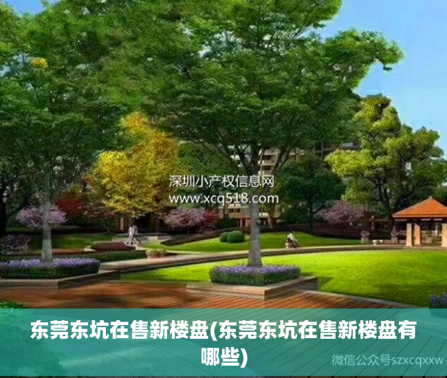 东莞东坑在售新楼盘(东莞东坑在售新楼盘有哪些)