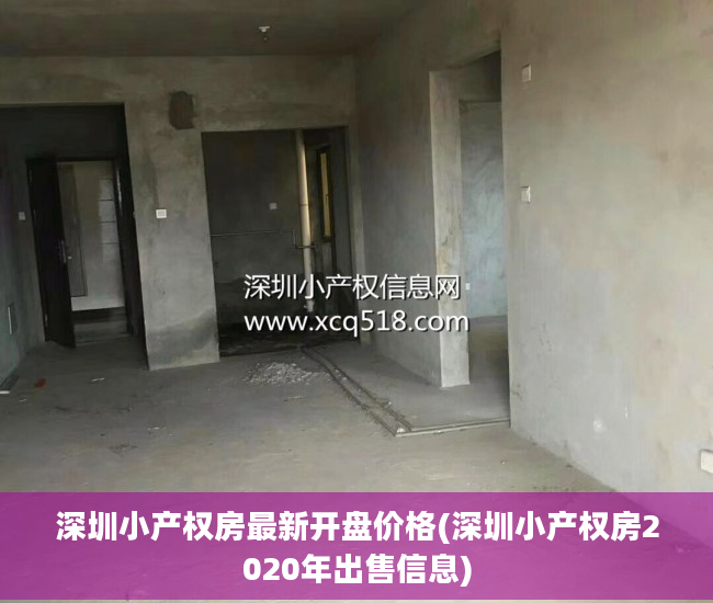 深圳小产权房最新开盘价格(深圳小产权房2020年出售信息)