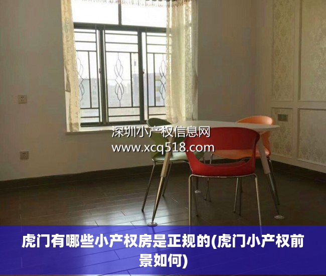 虎门有哪些小产权房是正规的(虎门小产权前景如何)
