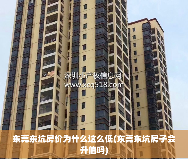 东莞东坑房价为什么这么低(东莞东坑房子会升值吗)