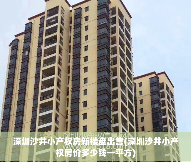 深圳沙井小产权房新楼盘出售(深圳沙井小产权房价多少钱一平方)