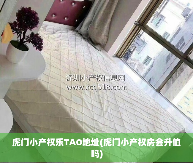 虎门小产权乐TAO地址(虎门小产权房会升值吗)