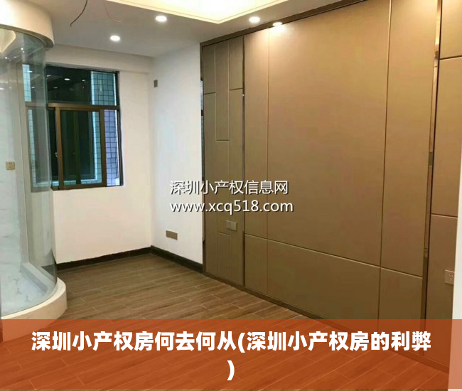 深圳小产权房何去何从(深圳小产权房的利弊)