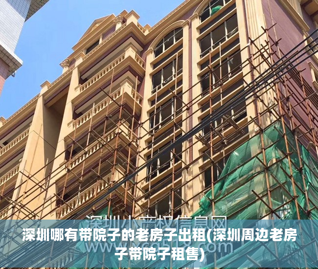 深圳哪有带院子的老房子出租(深圳周边老房子带院子租售)