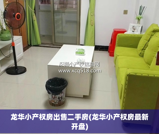 龙华小产权房出售二手房(龙华小产权房最新开盘)
