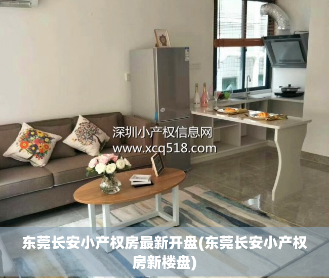 东莞长安小产权房最新开盘(东莞长安小产权房新楼盘)