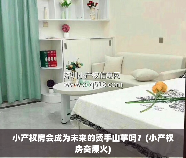 小产权房会成为未来的烫手山芋吗？(小产权房突爆火)