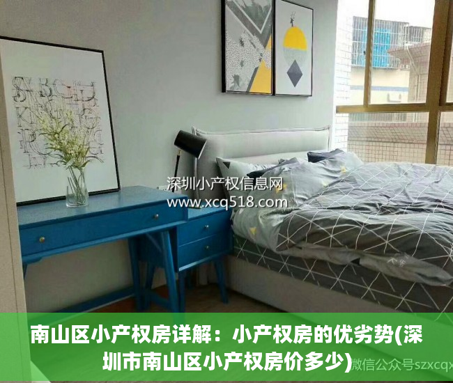 南山区小产权房详解：小产权房的优劣势(深圳市南山区小产权房价多少)