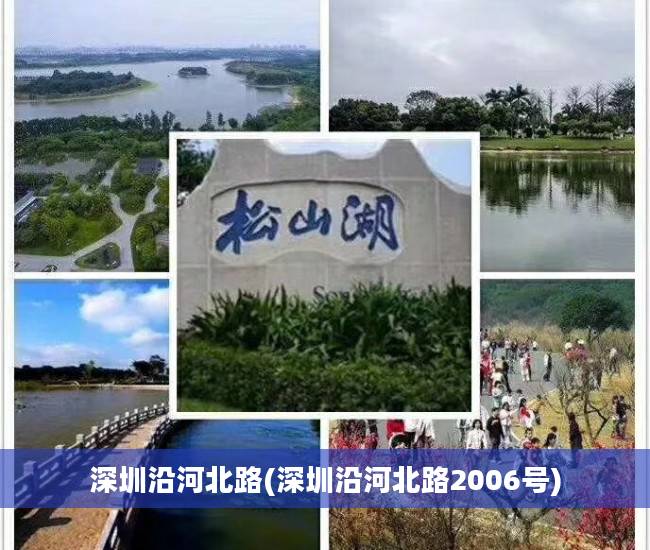 深圳沿河北路(深圳沿河北路2006号)