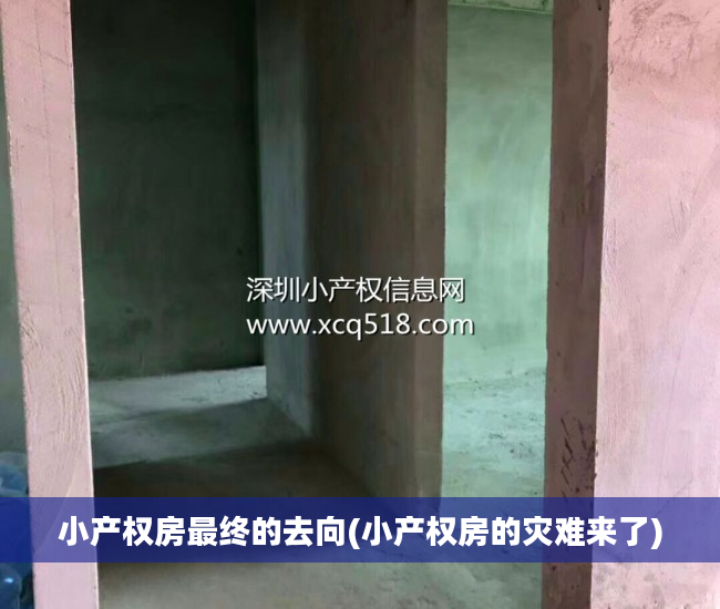 小产权房最终的去向(小产权房的灾难来了)