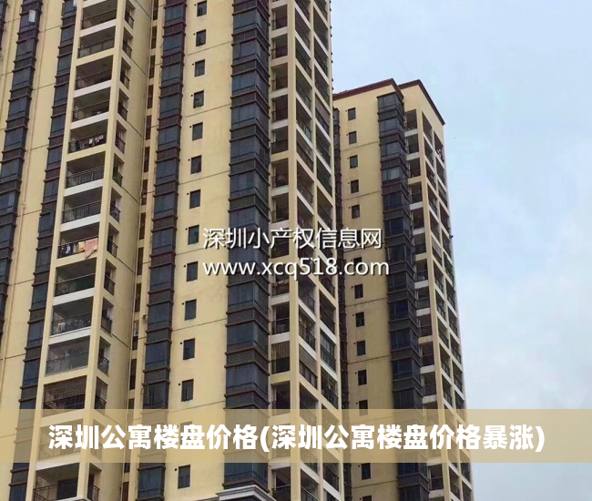 深圳公寓楼盘价格(深圳公寓楼盘价格暴涨)
