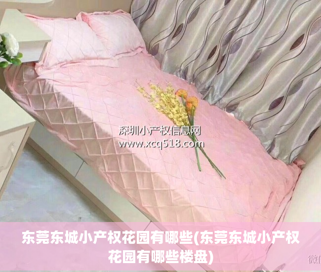 东莞东城小产权花园有哪些(东莞东城小产权花园有哪些楼盘)