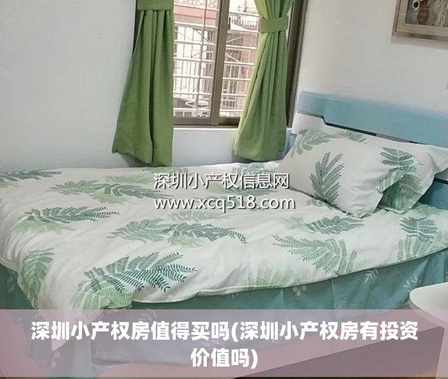 深圳小产权房值得买吗(深圳小产权房有投资价值吗)