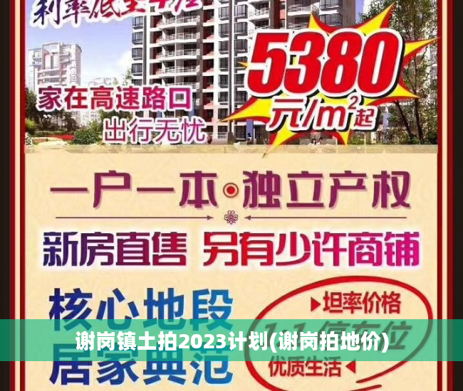 谢岗镇土拍2023计划(谢岗拍地价)