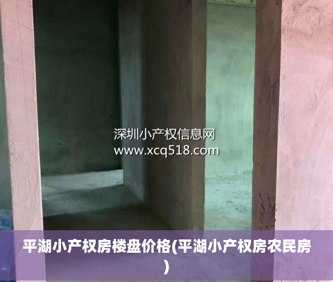 平湖小产权房楼盘价格(平湖小产权房农民房)