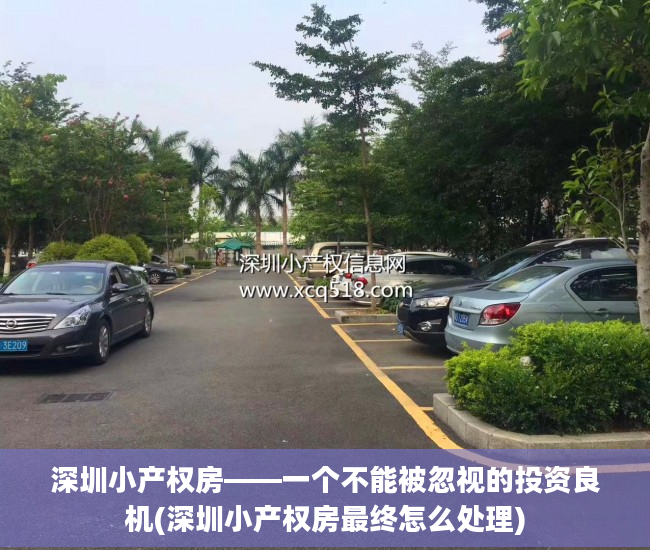 深圳小产权房——一个不能被忽视的投资良机(深圳小产权房最终怎么处理)