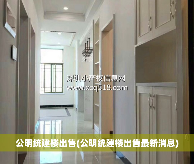 公明统建楼出售(公明统建楼出售最新消息)