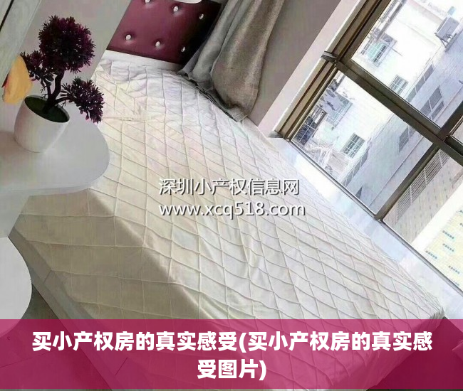 买小产权房的真实感受(买小产权房的真实感受图片)