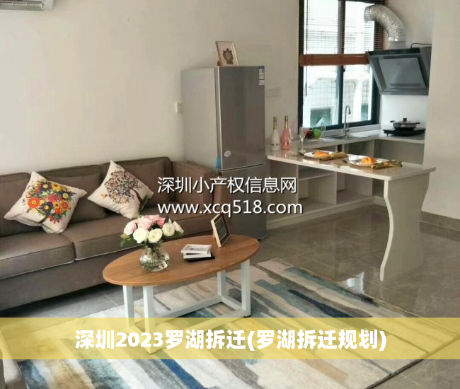 深圳2023罗湖拆迁(罗湖拆迁规划)
