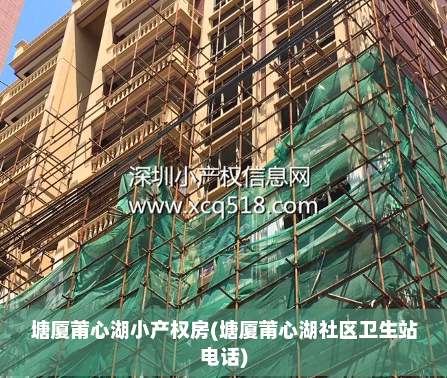 塘厦莆心湖小产权房(塘厦莆心湖社区卫生站电话)