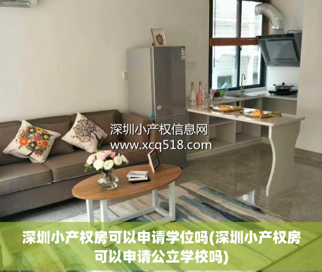 深圳小产权房可以申请学位吗(深圳小产权房可以申请公立学校吗)