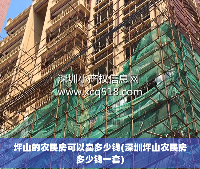 坪山的农民房可以卖多少钱(深圳坪山农民房多少钱一套)