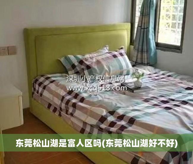东莞松山湖是富人区吗(东莞松山湖好不好)