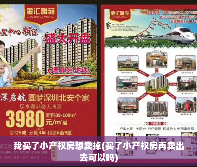 我买了小产权房想卖掉(买了小产权房再卖出去可以吗)