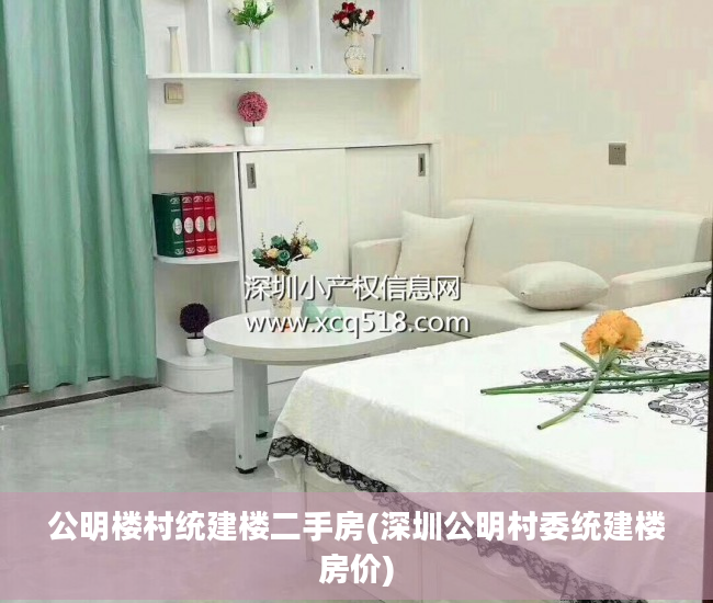 公明楼村统建楼二手房(深圳公明村委统建楼房价)