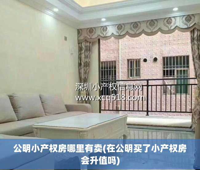 公明小产权房哪里有卖(在公明买了小产权房会升值吗)
