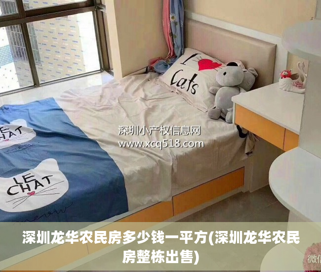深圳龙华农民房多少钱一平方(深圳龙华农民房整栋出售)