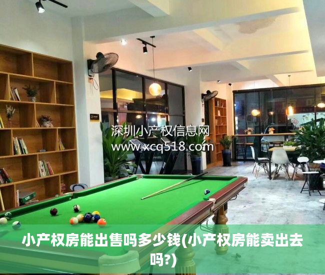 小产权房能出售吗多少钱(小产权房能卖出去吗?)